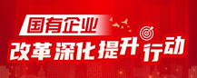 國有企業(yè)改革深化提升行動